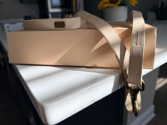 The Companion Collar and Leash Set